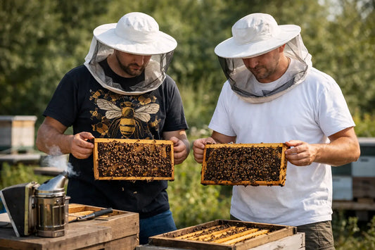 Graphic Tees vs Plain Shirts for Beekeepers