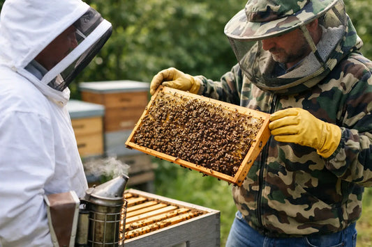 Bee Hobby Apparel Trends That Feel Real